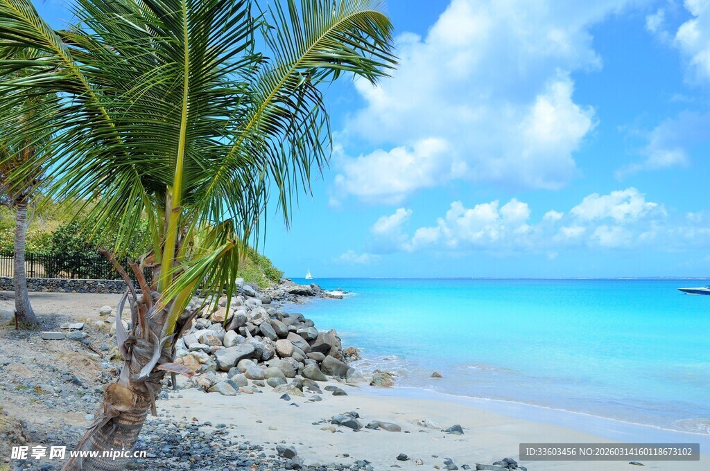 热带美丽海滩风光