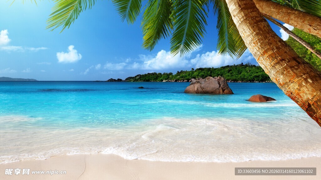 美丽热带海滩风光