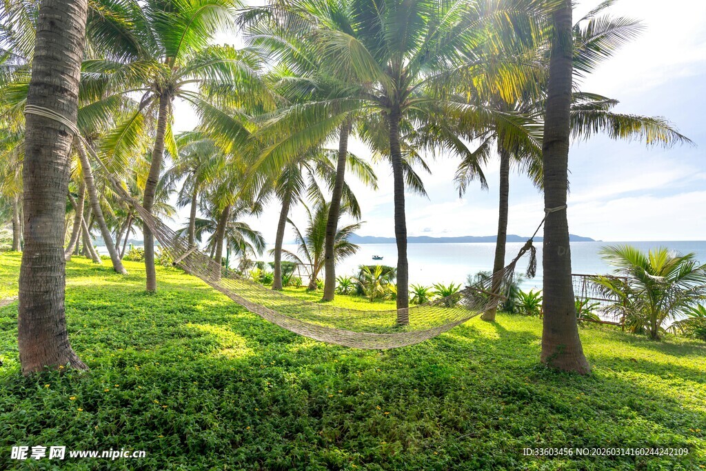 热带椰林海滨风光