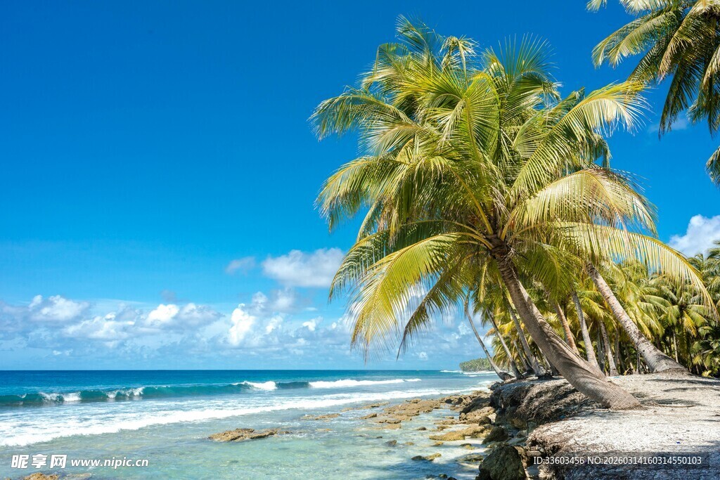 热带海滩椰林美景