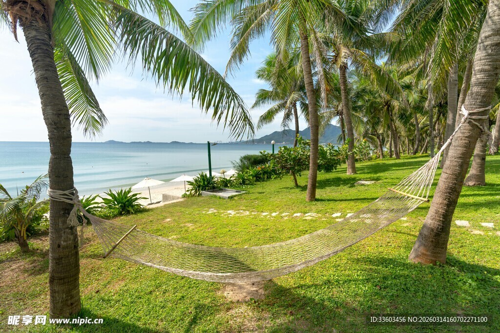 热带海滨椰林美景