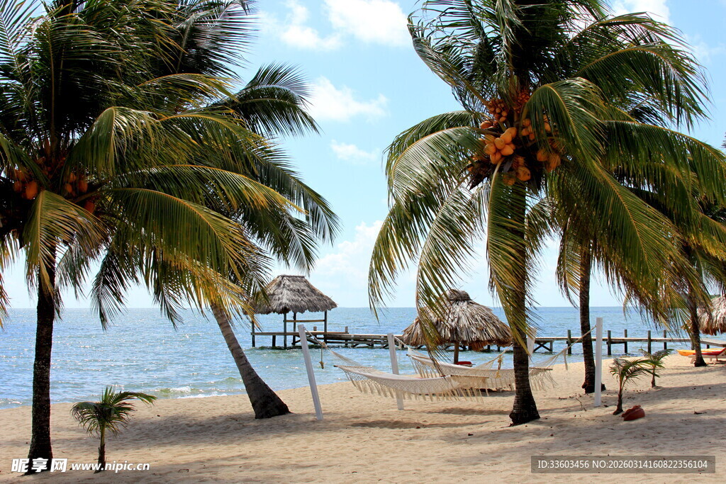 热带海滩椰树与水上建筑