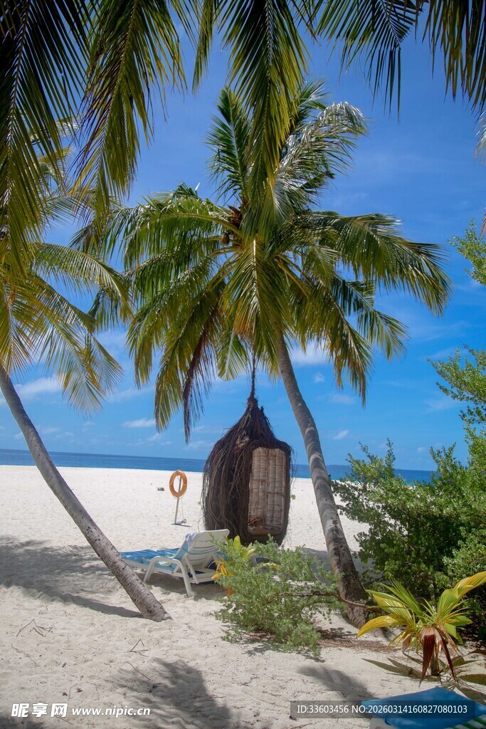 热带海滩上的小屋与椰树