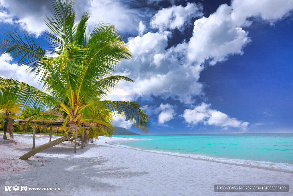 美丽热带海滩风光