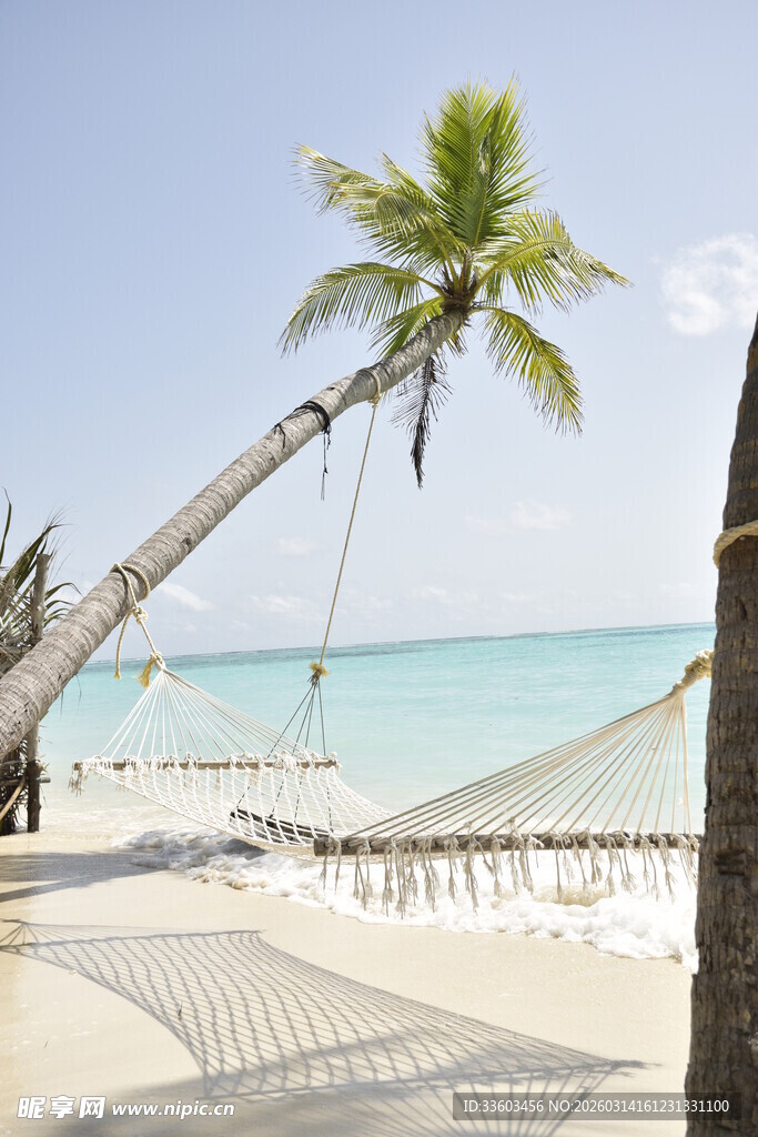 椰树下的海边吊床