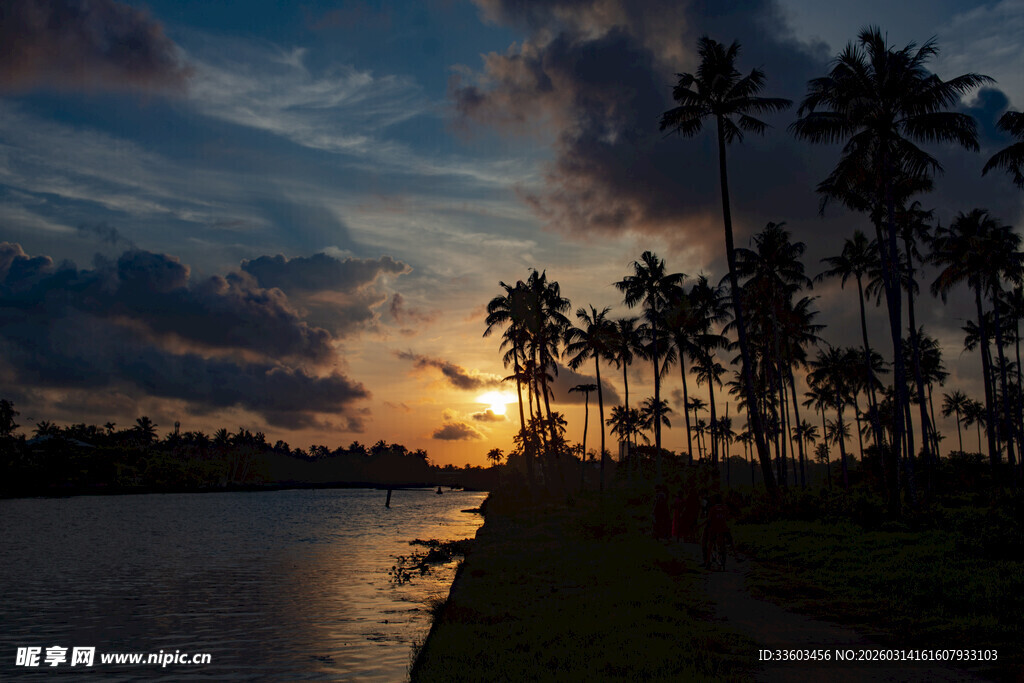 河畔椰林的绝美日落景色