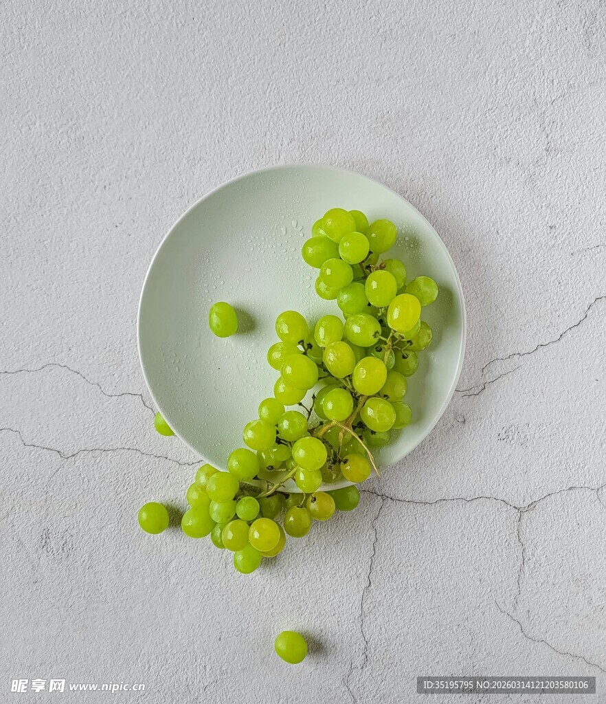 盘中青绿色醋栗果实