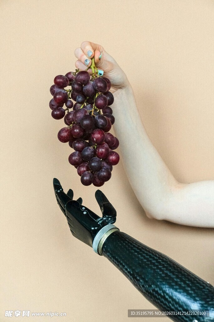 人手与机械手共持葡萄