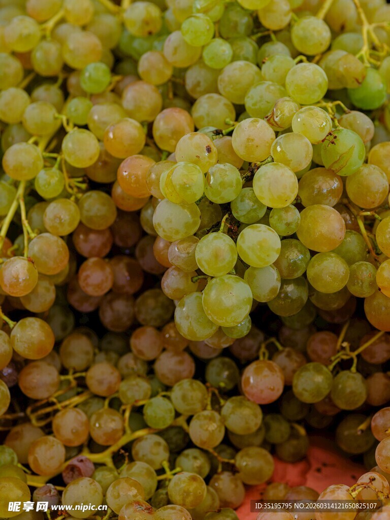 新鲜绿葡萄堆