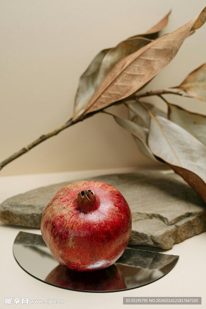 红石榴与枯叶的静物组合