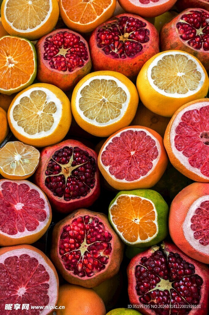 多彩柑橘类水果切片展示