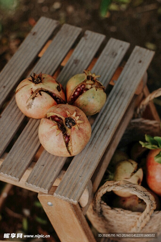 木桌上的南瓜等秋季蔬果