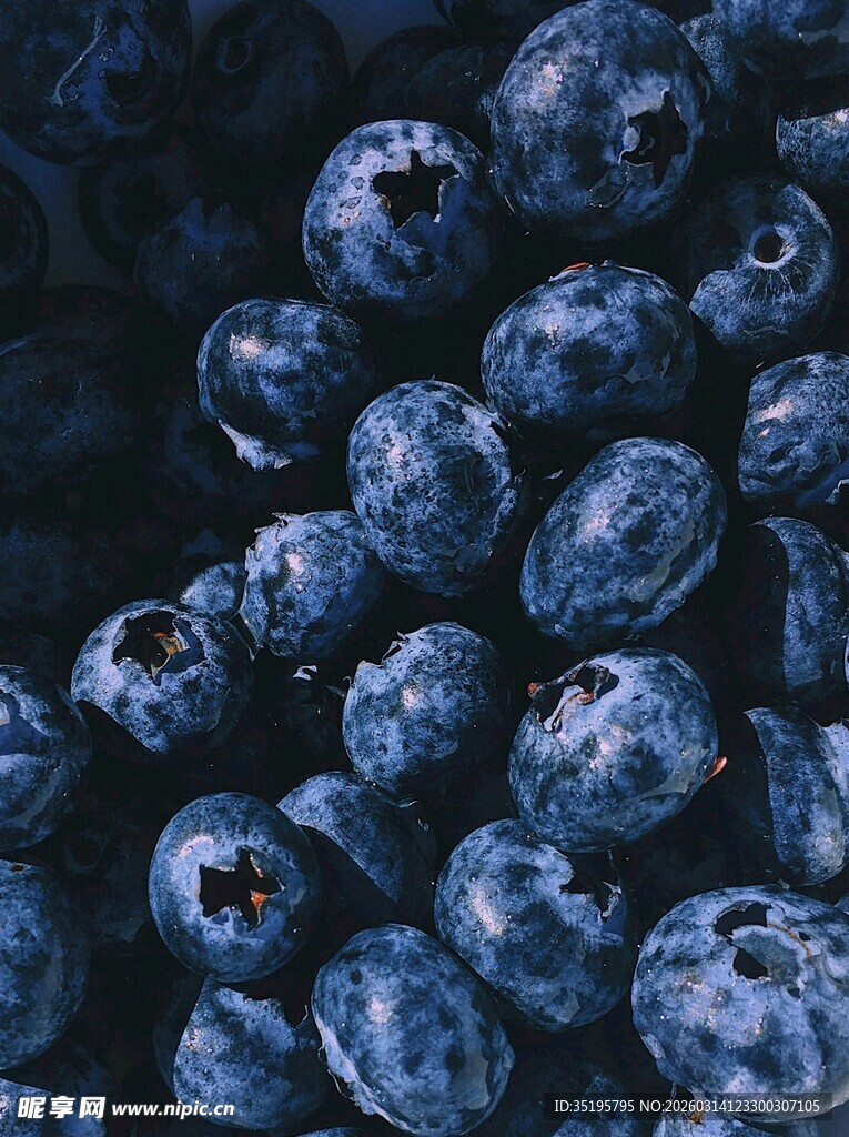 新鲜饱满的蓝莓