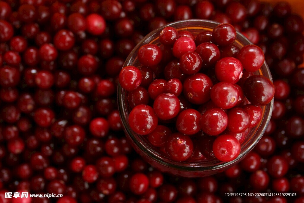 玻璃碗中的鲜红蔓越莓