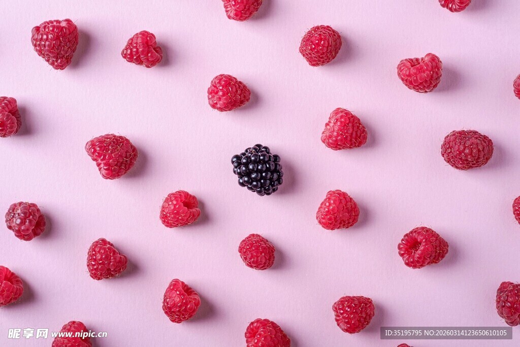 粉色背景上的多彩树莓
