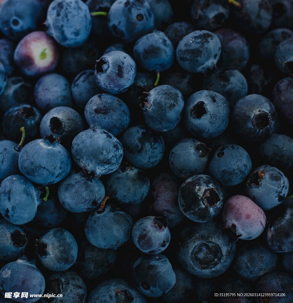 饱满蓝莓特写