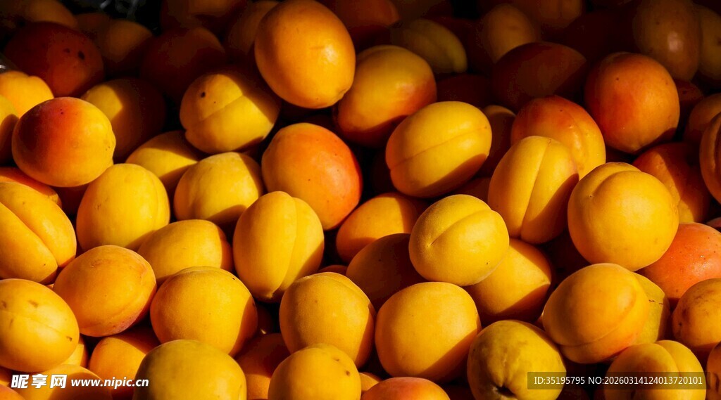 饱满诱人的新鲜杏子