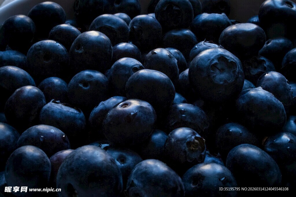 饱满蓝莓色泽诱人