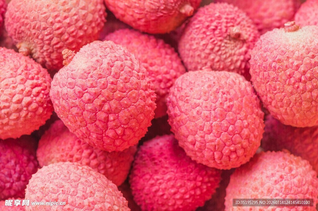 新鲜饱满的荔枝果实