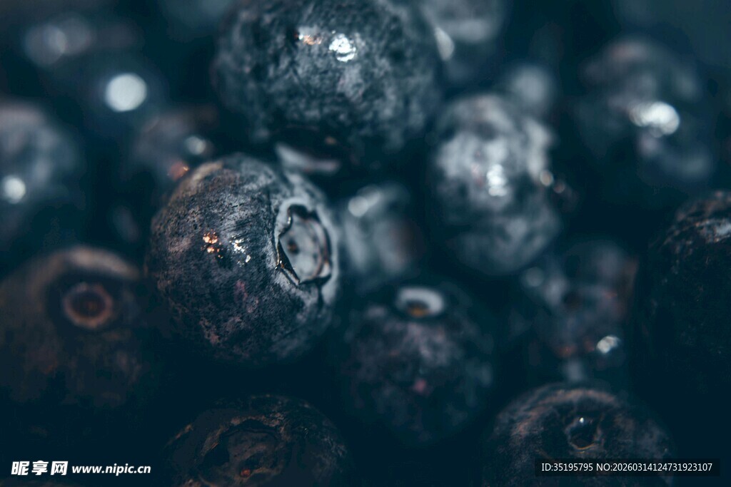 饱满蓝莓色泽诱人