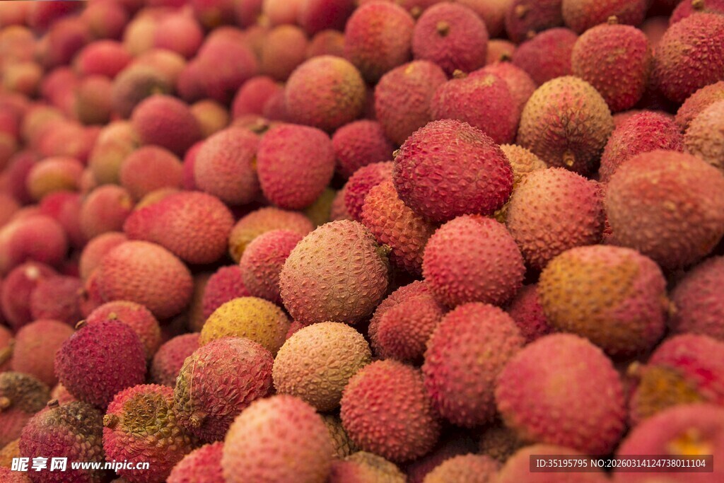 饱满荔枝堆成诱人景象