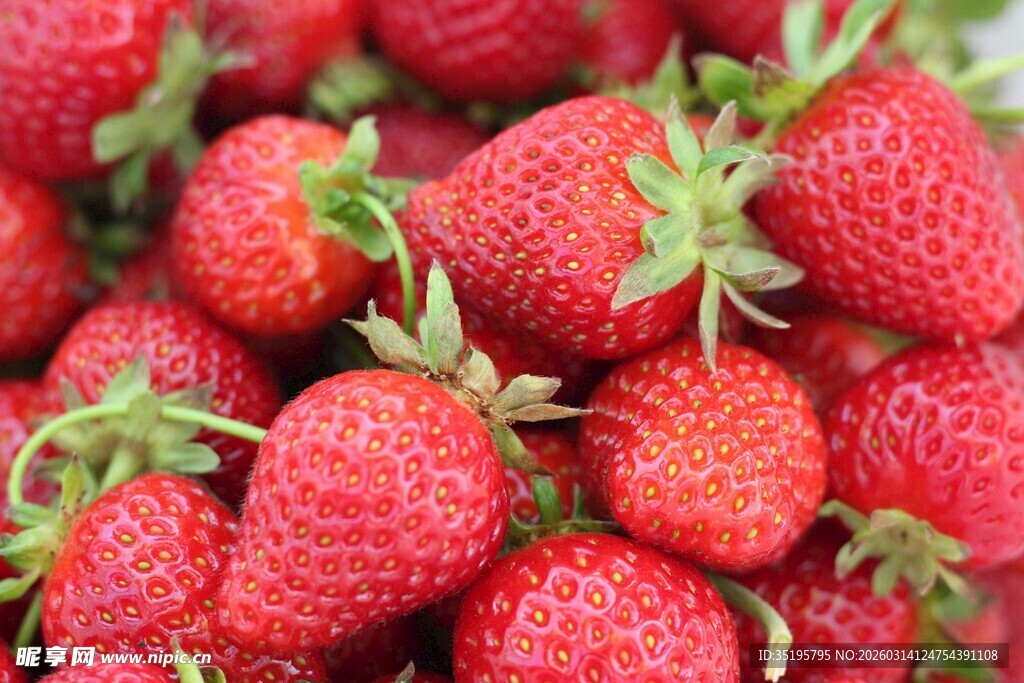 新鲜饱满的草莓