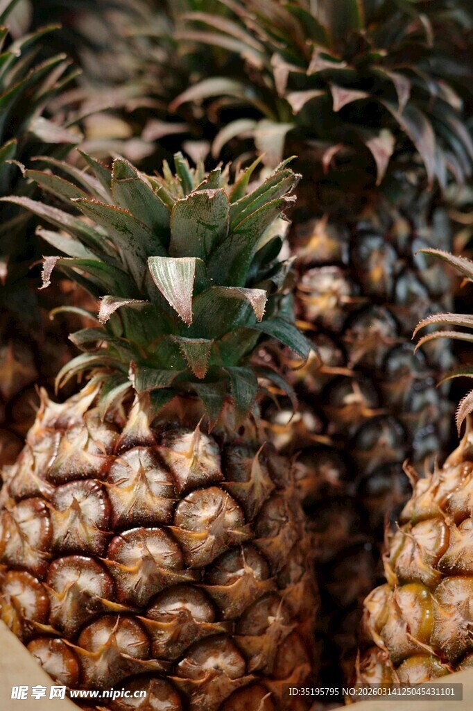 新鲜菠萝堆叠展示
