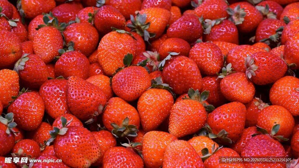 新鲜饱满的草莓堆