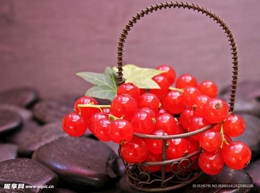 红醋栗装于铁艺篮中