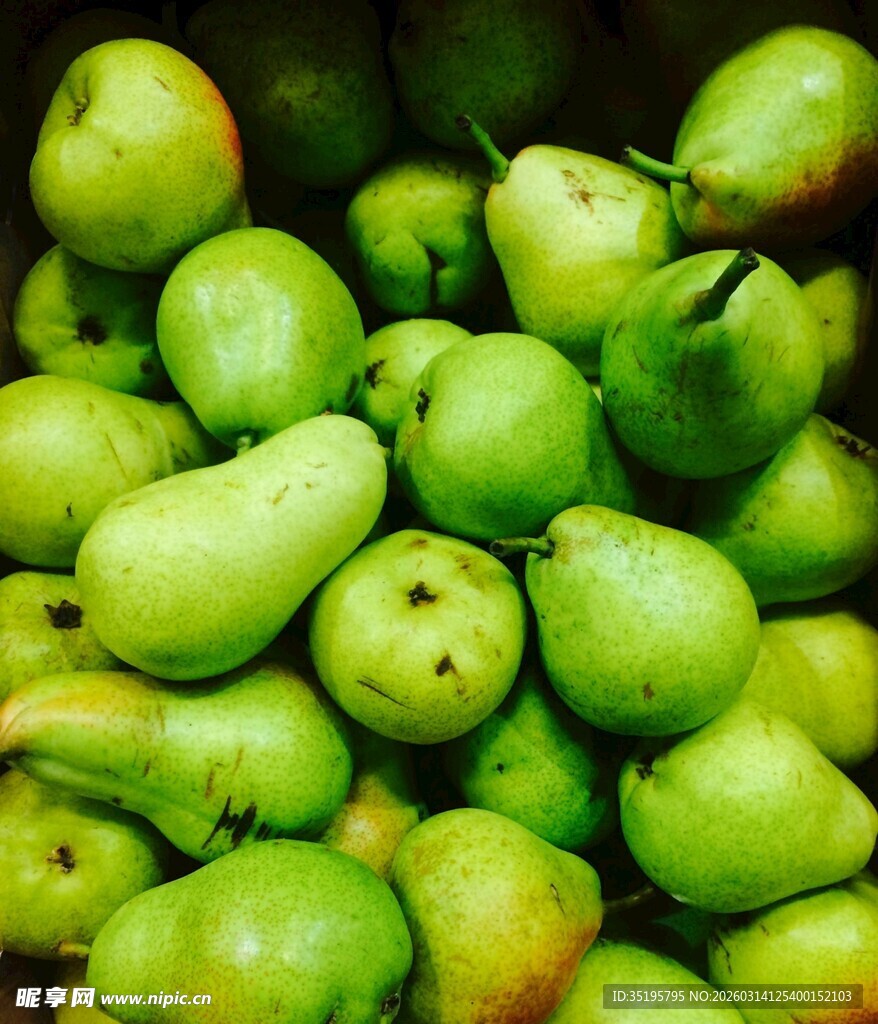 一堆新鲜青梨