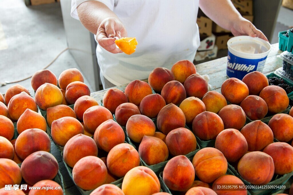 新鲜桃子待售