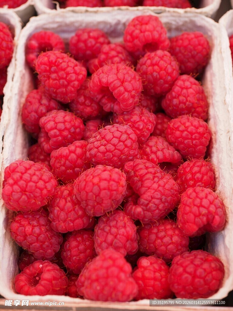 满满一盒新鲜树莓