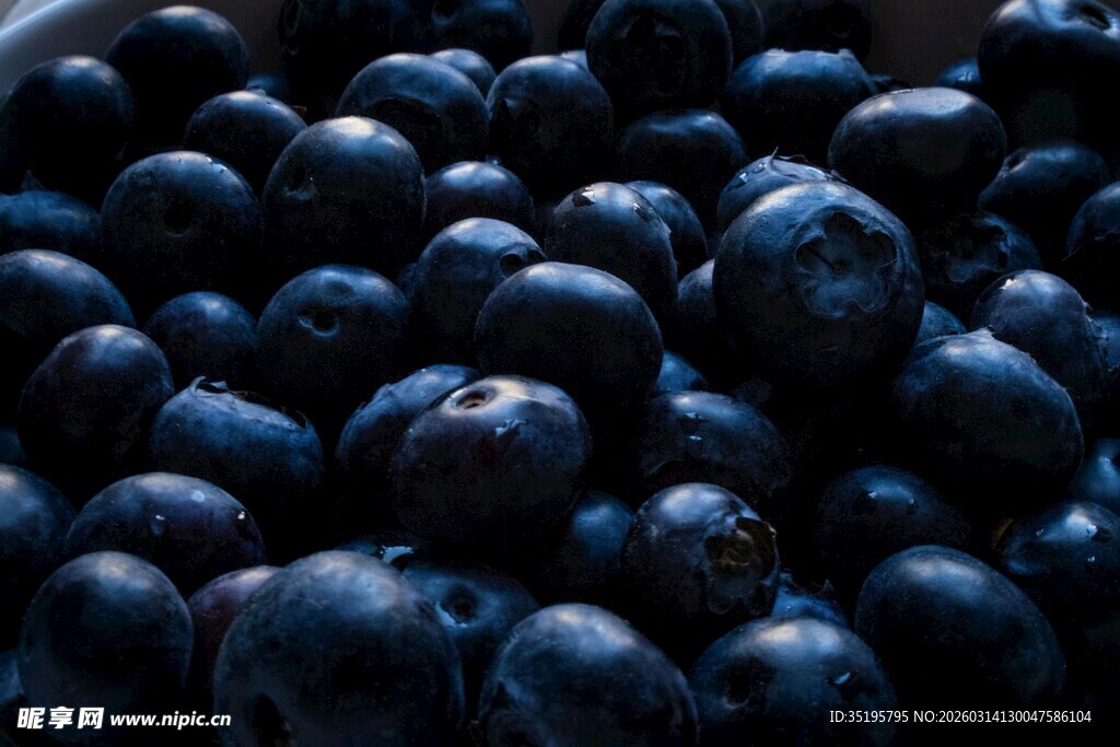 饱满蓝莓色泽诱人