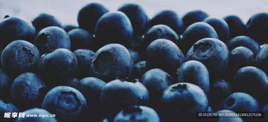 饱满蓝莓堆叠