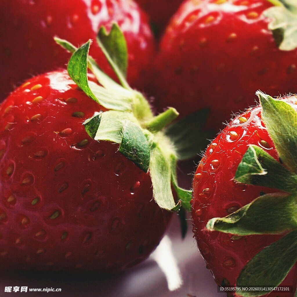 新鲜诱人的草莓特写