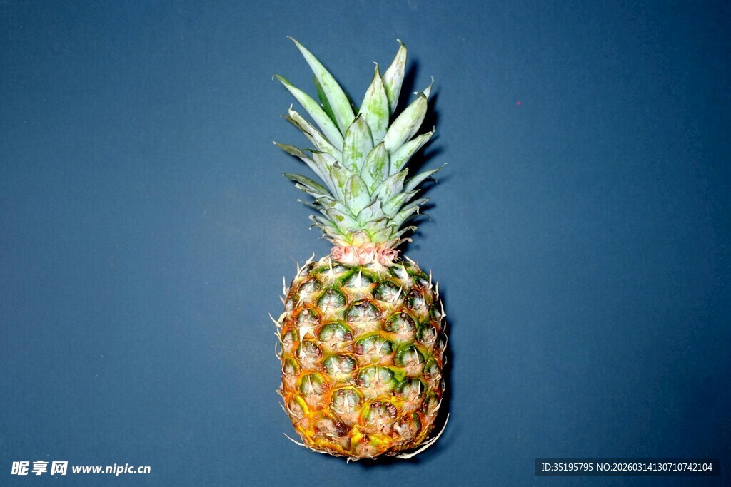 蓝色背景上的新鲜菠萝
