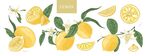柠檬图案