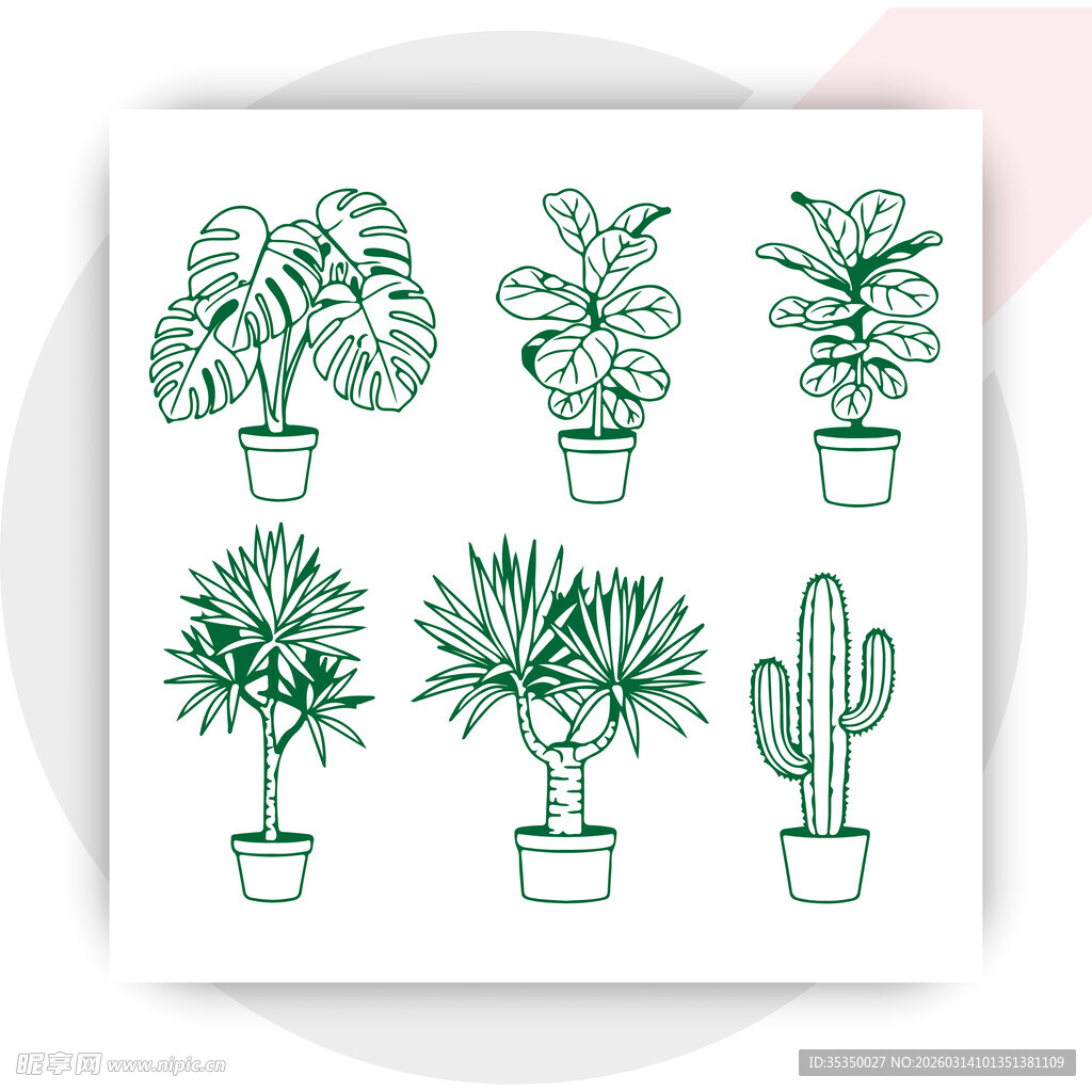 手绘盆栽插画