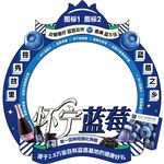 蓝莓主题拍照框背景卡头