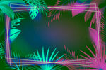 霓虹边框梦幻热带风光背景