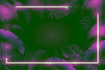 绿色热带植物边框背景图