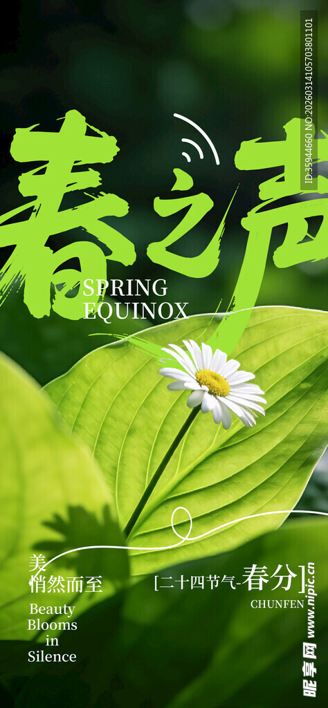 春之声绿叶白花清新画面