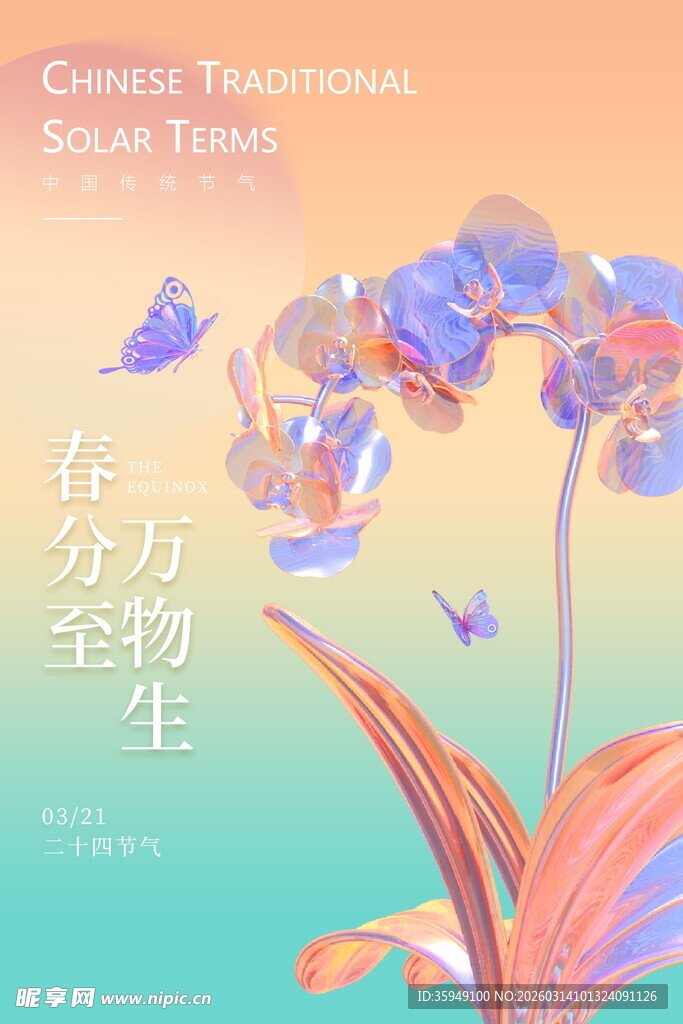 春分时节绽放的梦幻兰花