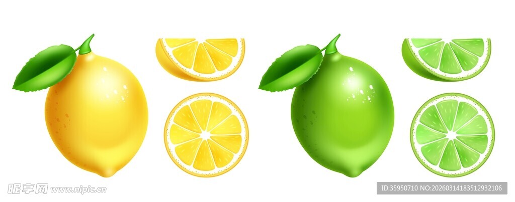 柠檬青柠素材