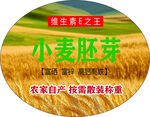 小麦胚芽产品宣传图