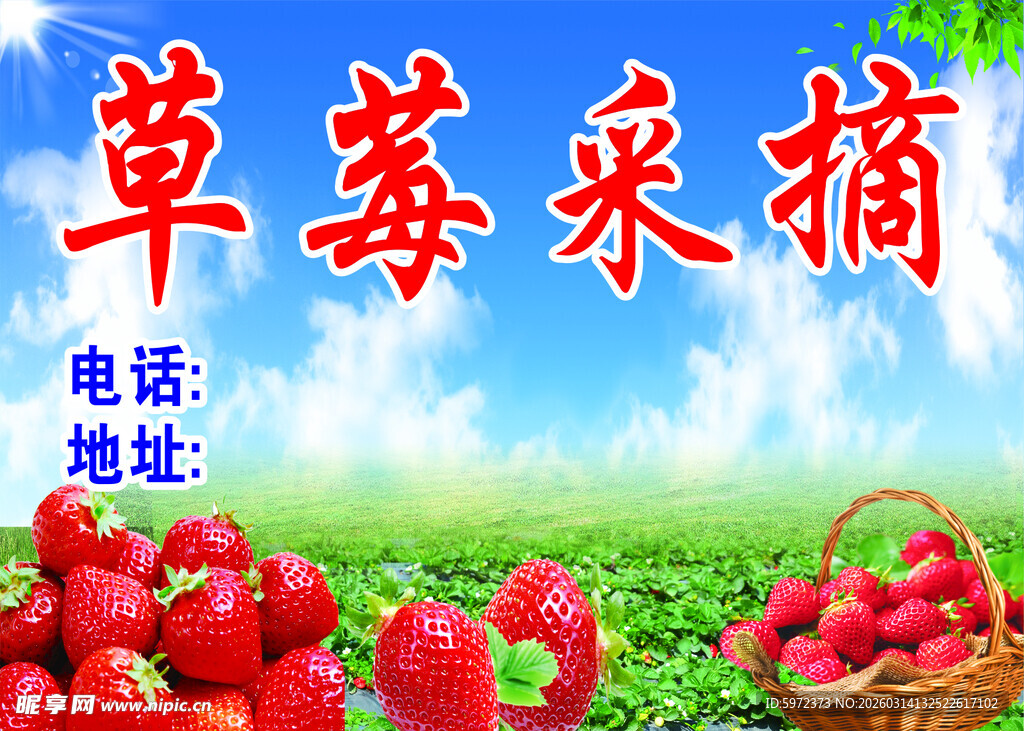 草莓采摘宣传海报