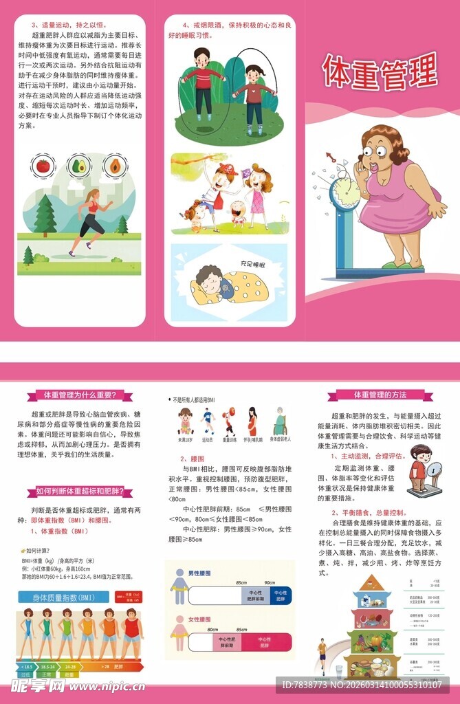 健康宣传知识体重管理宣传折页