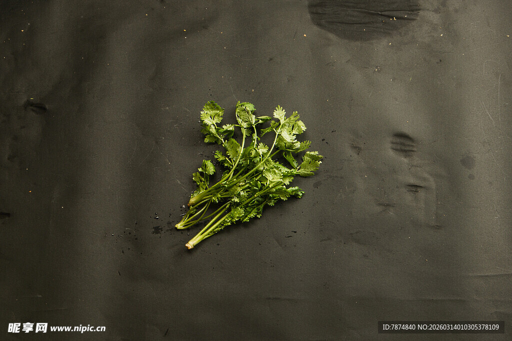 新鲜翠绿的荠菜