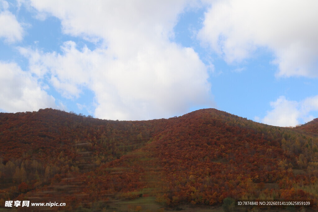秋日山峦 斑斓山色如画