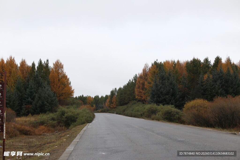 秋日林间公路美景